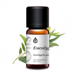 藍膠尤加利單方精油 藍膠尤加利單方精油