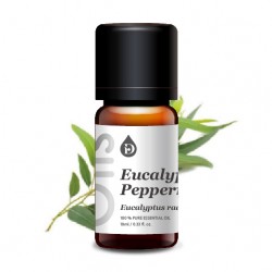 薄荷尤加利單方精油 薄荷尤加利單方精油