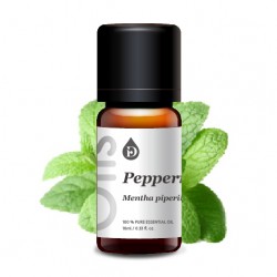 薄荷單方精油 薄荷單方精油