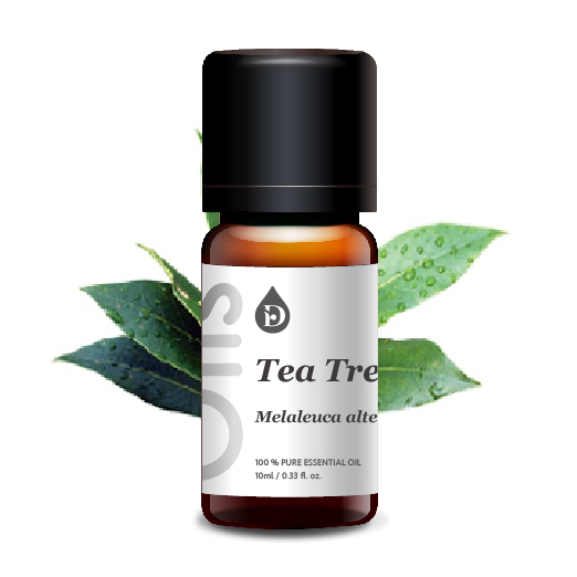 茶樹單方精油 茶樹單方精油