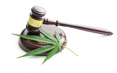 台灣醫療用大麻應該合法化 美國癌症專科藥學醫師 Doctor Of Pharmacy 給你剖析 達克希希精油 台灣醫療用大麻應該合法化 美國癌症專科藥學醫師 Doctor Of Pharmacy 給你剖析 達克希希精油